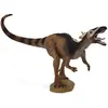 Image de Collecta