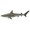 Image de Collecta Figure De Requin Noir Pointe De Récif