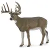 Image de Collecta Figurine De Cerf
