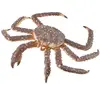 Image de Collecta Figurine Crabe Réel Xl