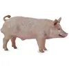 Image de Collecta Figurine De Porc Mâle