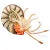 Image de Collecta Figurine Ammonite Pleuroceras Xl