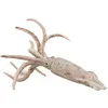 Image de Collecta Figurine De Bélemnite