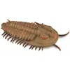 Image de Collecta Figurine Trilobital