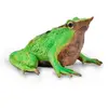 Image de Collecta Figurine De Grenouille De Darwin M