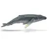 Image de Collecta Baleine à Bosse