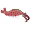 Image de Collecta Anomalocaris
