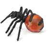 Image de Collecta