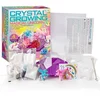 Image de 4m Kit Diy Terrarium Magique Licorne En Cristal