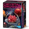 Image de 4M Crystal Imaginations Kit de Culture en Cristal Rouge à partir de 10 Ans