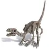 Image de 4m Kit De Fouille De Squelette De Dinosaure Vélociraptor