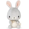 Image de Peluche Lapin Bonbon Gris