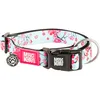 Image de Max & Molly Collier pour Chien et Chiot avec Boucle d'alimentation, Style Amusant pour Chiens et Chiots de Petite, Moyenne et Grande Taille, imperméable, Confortable, réglable, avec Code QR Gotcha