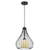 Image de Westinghouse Lighting 6205140 Suspension cage E27 Acier Noir mat