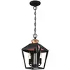 Image de Westinghouse Lighting 6328440 Luminaire Suspendu d'Intérieur à deux Lampes, Verre, Noir Mat