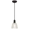 Image de Westinghouse Lighting 6338540 63385 Luminaire Suspendu d'Intérieur à Une Lampe, Finition avec Verre Nervuré Clair, Verre/,,, Bronze Huilé