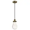Image de Westinghouse Lighting 6338640 63386 Luminaire Suspendu d'Intérieur à Une Lampe, Finition Larme Clair, Verre, Étain Antique