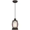 Image de 63617 Luminaire suspendu d'intérieur à une lampe, finition bronze huilé avec des touches de bois et du verre granuleux clair