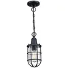 Image de Westinghouse Lighting 6334840 Luminaire suspendu d'extérieur Crestview à une lampe, finition en noir texturé avec verre granuleux clair