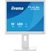 Image de iiyama ProLite B1980S-W1 19" LED SVGA 3 ms Blanc B1980S-W1