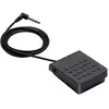 Image de Casio SP-3 Pédale de Sustain et Poussoir en Plastique pour Divers Modèles Casio CT-S, CT-X, LK-S