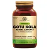 Image de Solgar Gotu Cola Aerial Extract