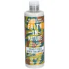 Image de Faith in Nature Karité & Argan Après-Shampoing