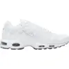 Image de Nike Air Max Plus White