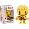 Image de NARUTO HOKAGE / BORUTO / FIGURINE FUNKO POP / EXCLUSIVE AAA ANIME / CHASE