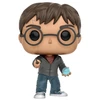 Image de HARRY POTTER AVEC PROPHECY / HARRY POTTER / FIGURINE FUNKO POP