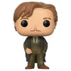 Image de REMUS LUPIN / HARRY POTTER / FIGURINE FUNKO POP