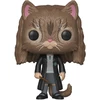 Image de HERMIONE EN CHAT / HARRY POTTER / FIGURINE FUNKO POP