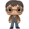 Image de HARRY POTTER AVEC DEUX BAGUETTES / HARRY POTTER / FIGURINE FUNKO POP / EXCLUSIVE SPECIAL EDITION