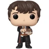 Image de NEVILLE WITH MONSTER BOOK / HARRY POTTER / FIGURINE FUNKO POP