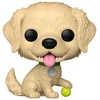 Image de GOLDEN RETRIEVER / PETS / FIGURINE FUNKO POP