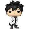 Image de GRAY / FAIRY TAIL 100 YEARS QUEST / FIGURINE FUNKO POP