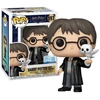 Image de HARRY POTTER WITH HEDWIG / HARRY POTTER / FIGURINE FUNKO POP / EXCLUSIVE SPECIAL EDITION