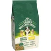Image de JAMES WELLBELOVED Junior Riche en Agneau et Riz 2 kg