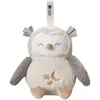 Image de Tommee Tippee Aide au Sommeil Sonore et Lumineuse de Luxe pour Bébés et Jeunes Enfants avec CrySensor, OllieChouette, 6 Sons Apaisants et Une Veilleuse, Rechargeable par USB et Lavable en Machine
