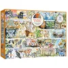 Image de Gibsons Games   Puzzle 1000 pièces   Ours du soleil et paresseux   Val Chardonneret   Puzzle durable pour adultes   Planche 100 % recyclée   Cadeau idéal pour adultes