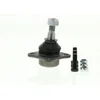 Image de DELPHI Rotule de suspension pour FIAT: Palio (Ref: TC1010)