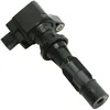 Image de Delphi Technologies GN10251-12B1 Bobine D'Allumage