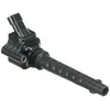 Image de Delphi Technologies GN10528-12B1 Bobine D'Allumage