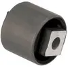 Image de DELPHI Silent bloc de suspension pour LAND ROVER: Freelander (Ref: TD1504W)