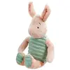 Image de Rainbow Designs Official Disney Classic Winnie The Pooh & Friends Piglet - Soft Plush - Baby Gifts - Teddy Bear - Soft Toy by