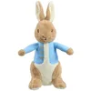 Image de Rainbow Designs Official Peter Rabbit Large 24cm Soft Plush Toy