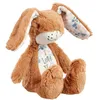 Image de Petit lièvre marron noisette