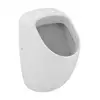 Image de Ideal Standard Connect Urinoir, E567101,