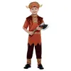 Image de Smiffys Costume viking, brun, avec haut, pantalon et chapeau Halloween, Carnaval