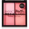 Image de Technic Cosmetics Mega Blush palette de blush effet mat 11.2 g